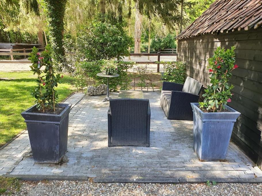 Midden In De Friese Bossen Op Landgoed Princenhof Oranjewoud Luaran gambar