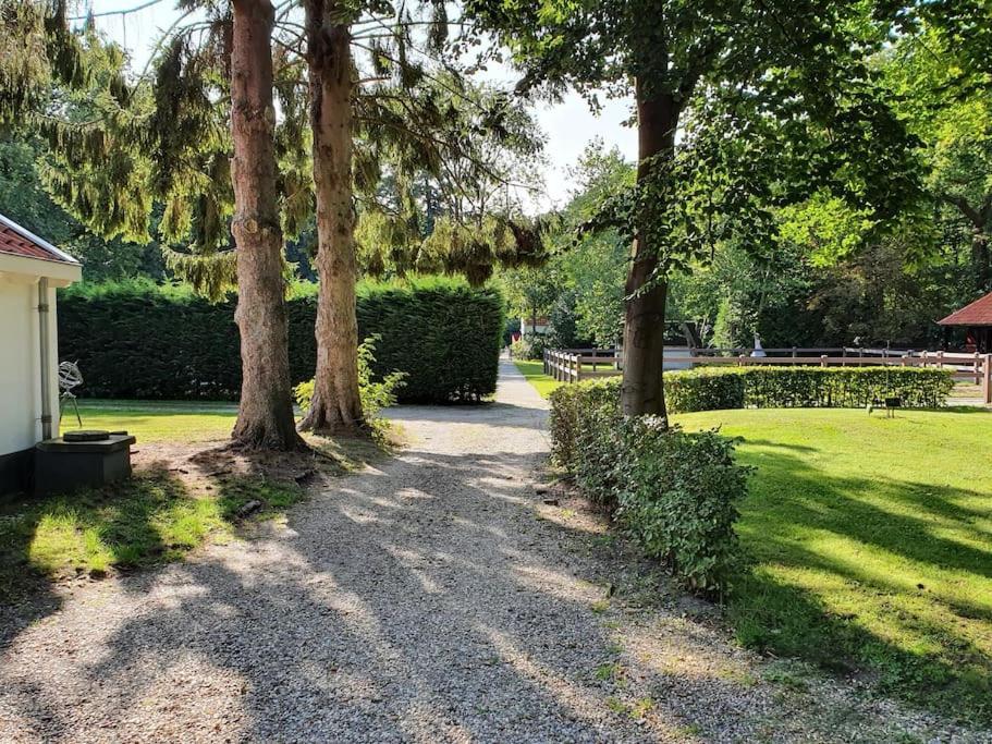 Midden In De Friese Bossen Op Landgoed Princenhof Oranjewoud Luaran gambar
