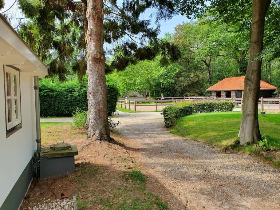 Midden In De Friese Bossen Op Landgoed Princenhof Oranjewoud Luaran gambar