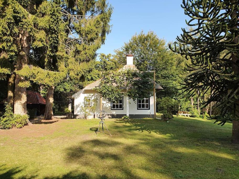 Midden In De Friese Bossen Op Landgoed Princenhof Oranjewoud Luaran gambar
