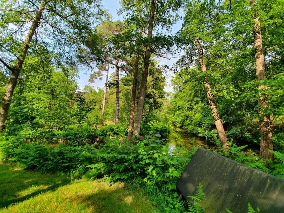 Midden In De Friese Bossen Op Landgoed Princenhof Oranjewoud Luaran gambar