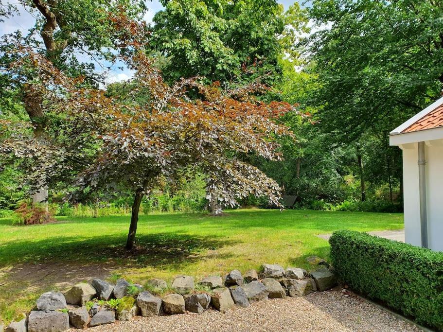 Midden In De Friese Bossen Op Landgoed Princenhof Oranjewoud Luaran gambar
