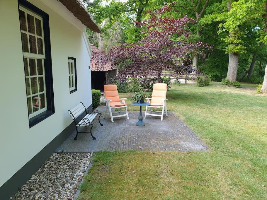 Midden In De Friese Bossen Op Landgoed Princenhof Oranjewoud Luaran gambar