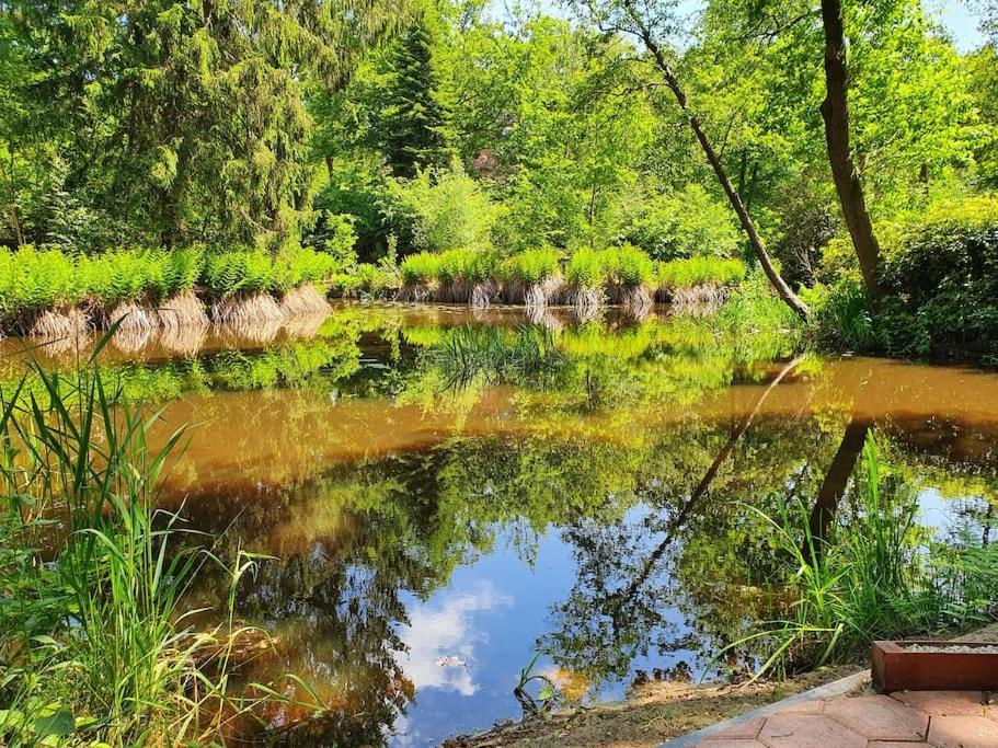 Midden In De Friese Bossen Op Landgoed Princenhof Oranjewoud Luaran gambar