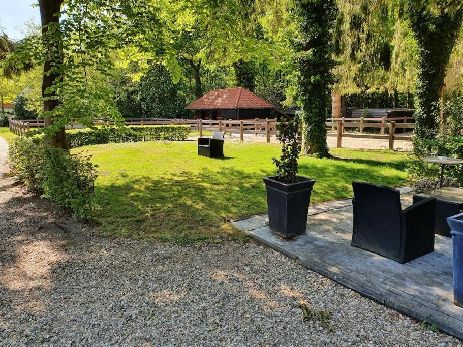 Midden In De Friese Bossen Op Landgoed Princenhof Oranjewoud Luaran gambar