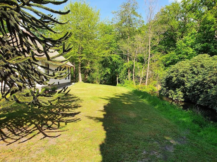 Midden In De Friese Bossen Op Landgoed Princenhof Oranjewoud Luaran gambar