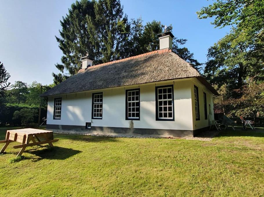 Midden In De Friese Bossen Op Landgoed Princenhof Oranjewoud Luaran gambar