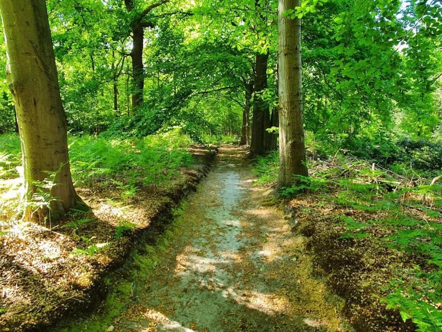 Midden In De Friese Bossen Op Landgoed Princenhof Oranjewoud Luaran gambar